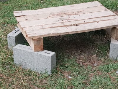 Blocks, Bricks, and Pavers -- The Critical Chicken-Keeping Equipment the “Chickens 101” Articles Don’t Mention