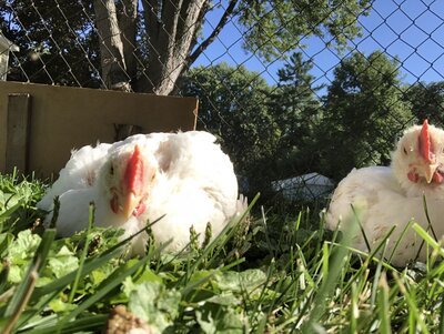 E3F9D701-12F1-42AF-8037-5D0B97577335.jpeg