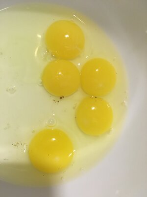 323ED92D-62E2-4893-A8AA-4707451DC7C1.jpeg