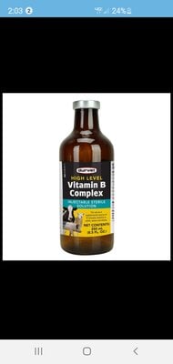 Screenshot_20200813-140352_BackYard Chickens.jpg