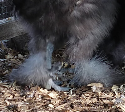PSX_20200913_225013.jpg