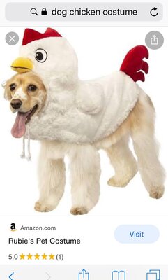 AD04A54E-B78E-4C7D-A717-659551A01AA5.jpeg