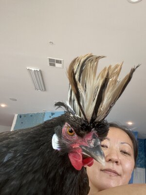 CB92AEFA-ED08-4C53-912F-5CAD913EDB64.jpeg