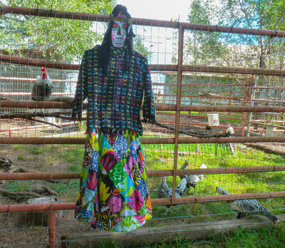 day of the dead scarecrow.jpg