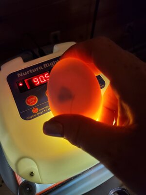 20200916_190333.jpg