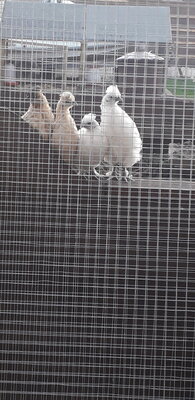 20200912_190449.jpg