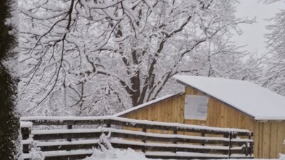 Old Ohio Coops... Chronicles of a Renovated Money Pit