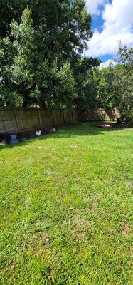 20200917_144342.jpg