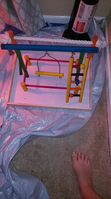 20200919_182614.jpg