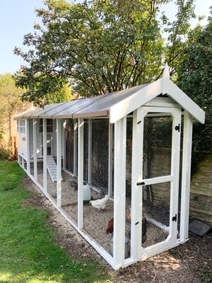 Chicken Coop Project - the chickens like it!