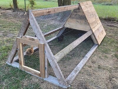 Wooden Pallet Mini Coop