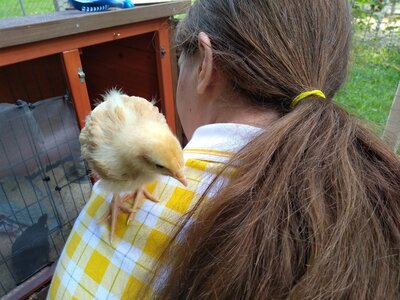 blondechick1.jpg blondechick1.jpg