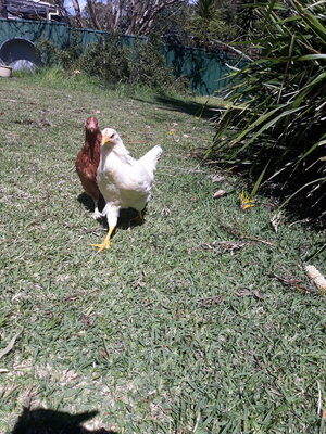 20200926_102629.jpg