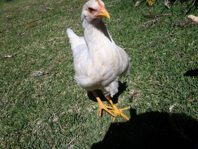20200926_102634.jpg