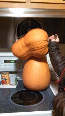 IMG_20131029_183658_111.jpg