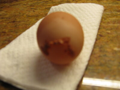 Pearl's egg 002.jpg