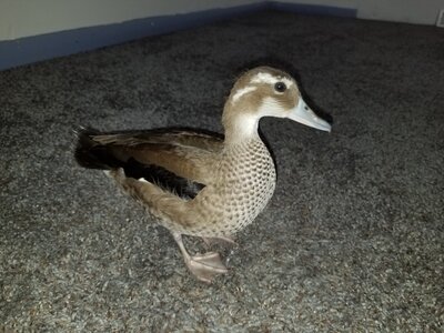 20200924_213357.jpg