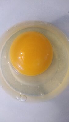 yolk.jpg