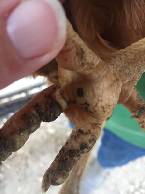 IMG_7238.jpeg IMG_7238.jpeg