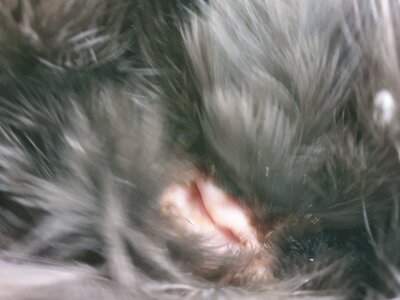 20201002_132142.jpg