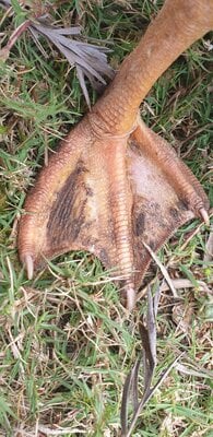 20201003_112845.jpg