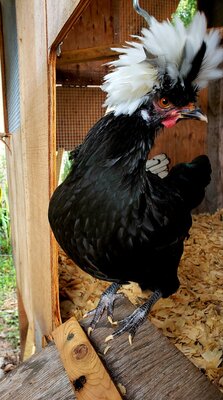 20201003_004841.jpg