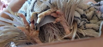20201003_115630.jpg