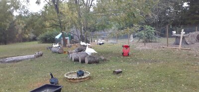 20200927_183553.jpg