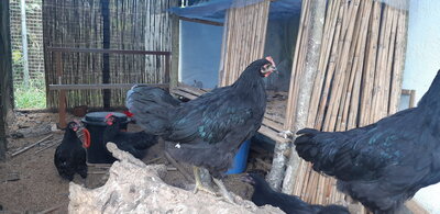 20201004_153431.jpg