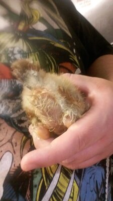 20201005_195251.jpg