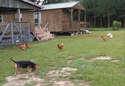 1005200935a-1.jpg