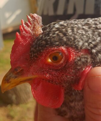 20201004_163500_HDR-01.jpeg