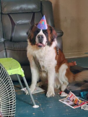 20201004_181336.jpg