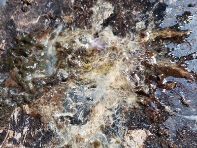 20201004_163925.jpg