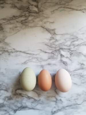 20201005_160025.jpg