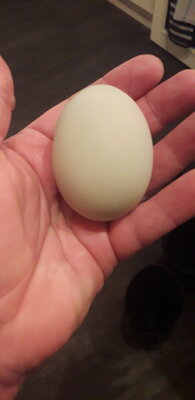 20201005_220459.jpg