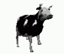 F02968F1-4866-487E-A923-D1FCE1329537.gif