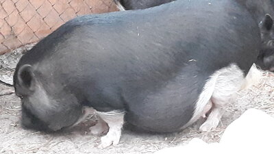 20201005_185430.jpg