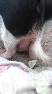 20201005_185308.jpg