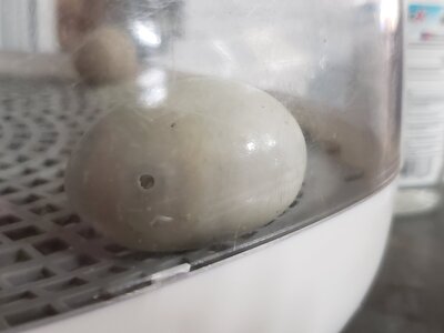 20201006_174847.jpg
