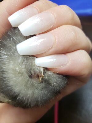 20201006_155054.jpg