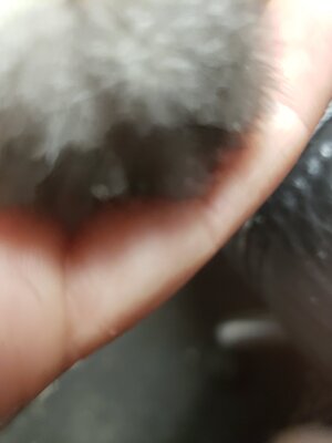20201006_155006.jpg