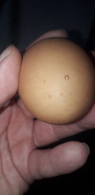 20201007_101107.jpg