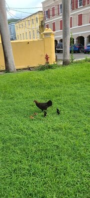 20201005_150830.jpg