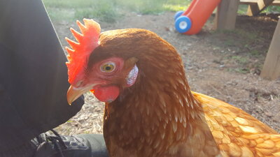 20201006_163207.jpg