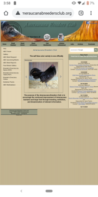 Screenshot_20201008-155819.png