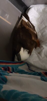 20201008_193208.jpg