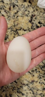 20201008_193135.jpg