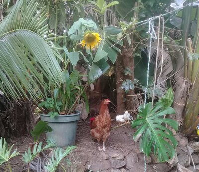 20201009_081554.jpg
