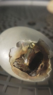 2505435A-DF4E-486B-90EE-CC2A9DB4CB23.png